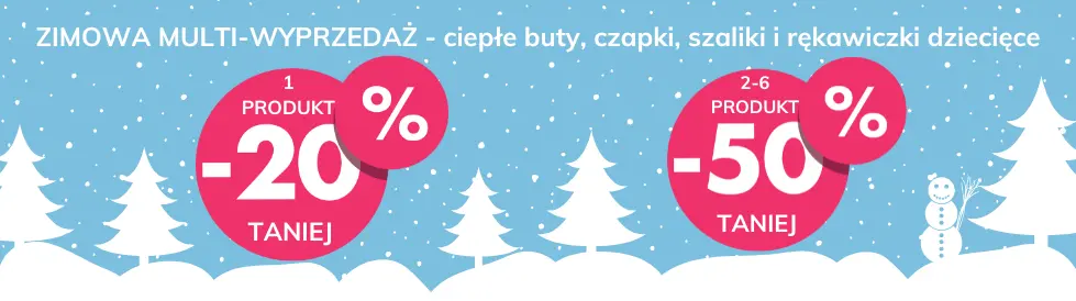  zimowa wyprzedaż banner