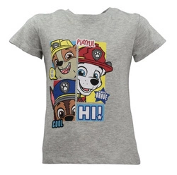 T-shirt dla dzieci Trio Psi Patrol Grey