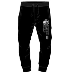 Chłopięce wygodne spodnie dresowe Jurassic World