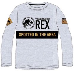 Bluzka z długim rękawem dla chłopca Jurassic World Szary